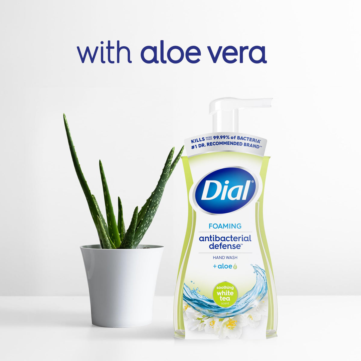 Back view of Dial Antibacterial Foaming Hand Wash packaging