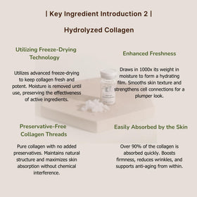 Back view of ki cosmetics Stem-Cell Exosome Skin support Kit