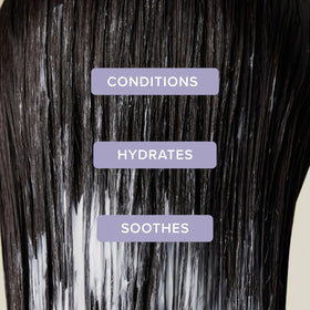 Back view of Tea Tree Lavender Mint Moisturizing Conditioner bottle