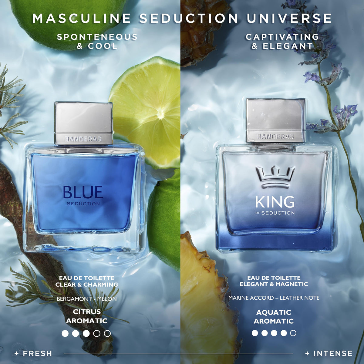 Banderas King of Seduction 6.8 oz Eau de Toilette close-up of bottle