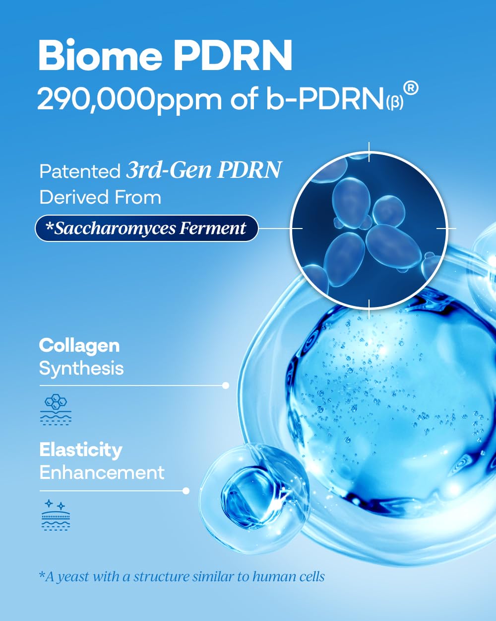 Bano PDRN Cream 50ml lifestyle shot on bathroom counter