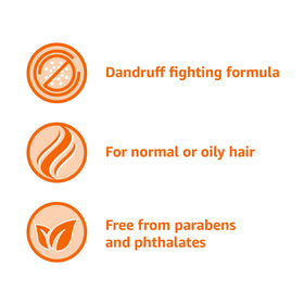 Basics Anti-Dandruff Shampoo 28.2 fl oz lifestyle scene