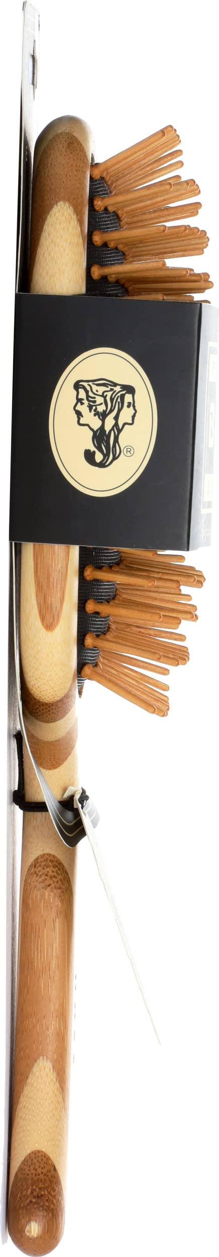 Bass Wood Bristle Brush close-up of wood bristles