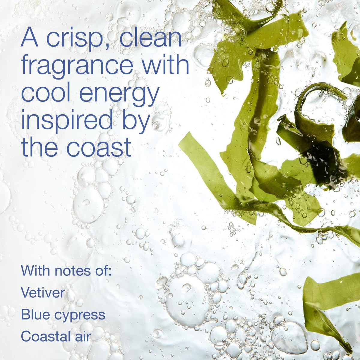 Bath & Body Works 3-in-1 Hair, Face & Body Wash Ocean Scent packaging