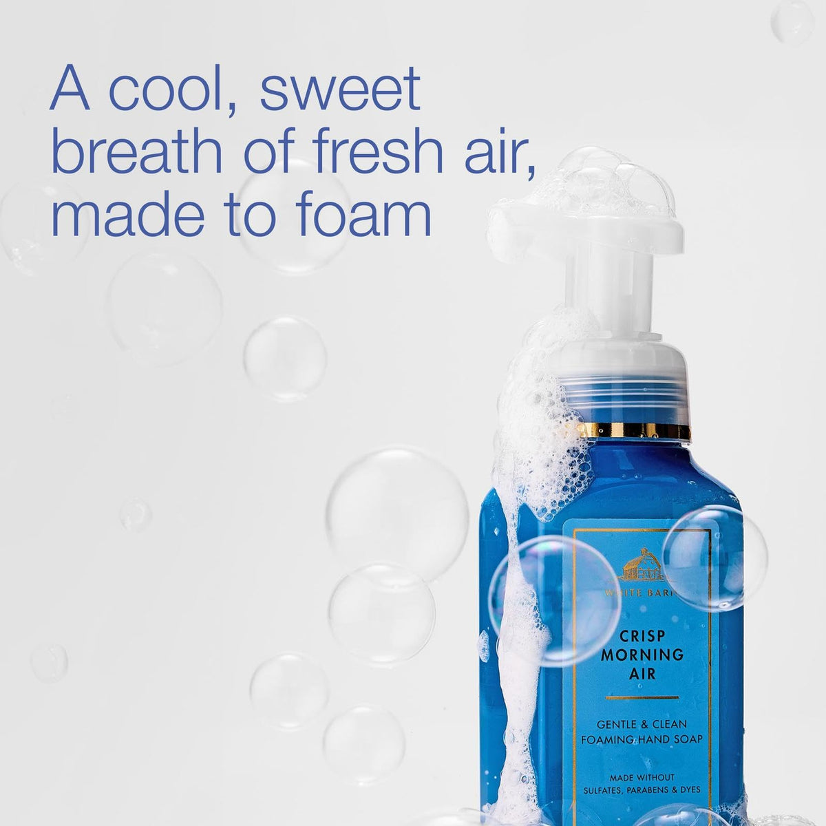 Bath & Body Works Crisp Morning Air Foaming Hand Soap back view