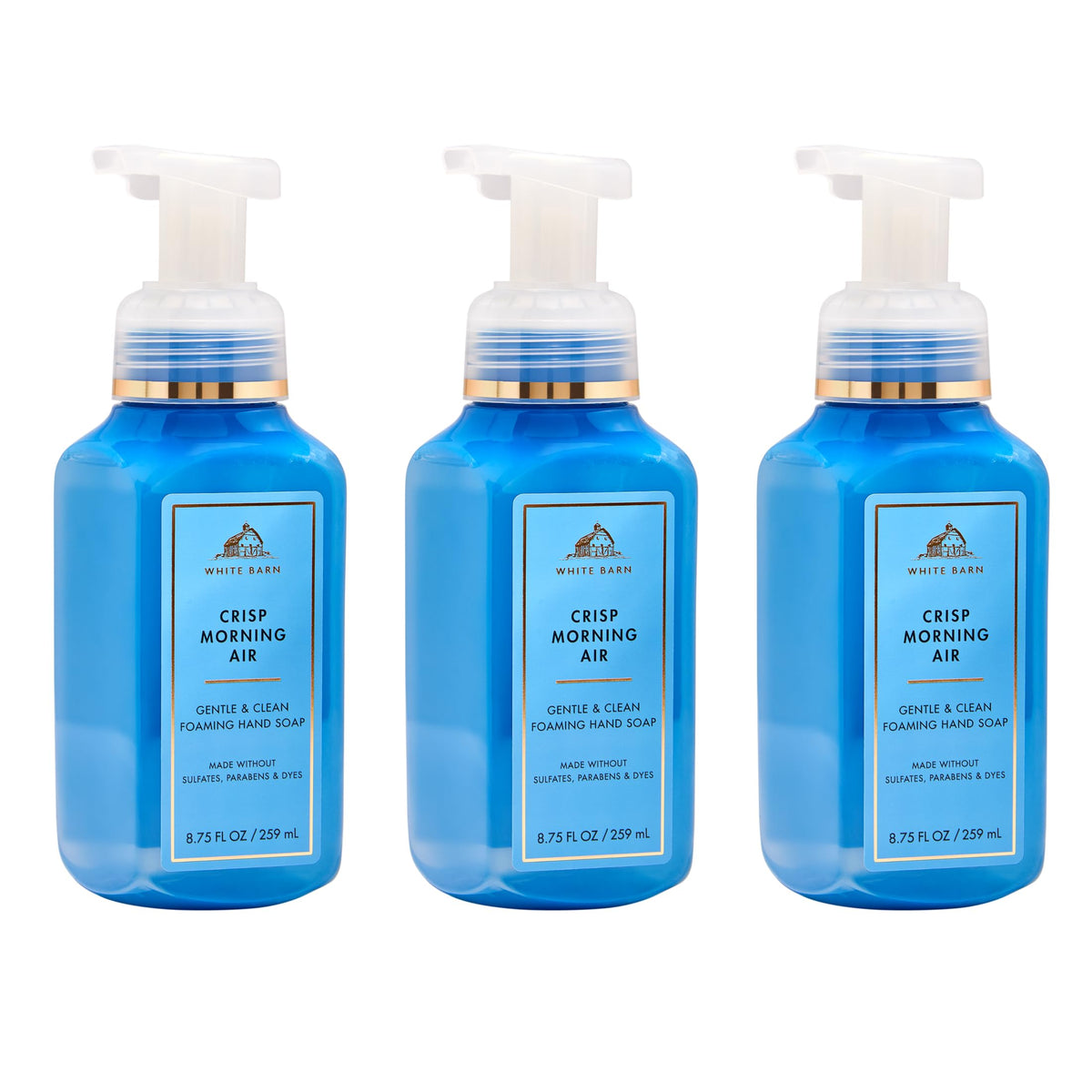 Bath & Body Works Crisp Morning Air Foaming Hand Soap front view