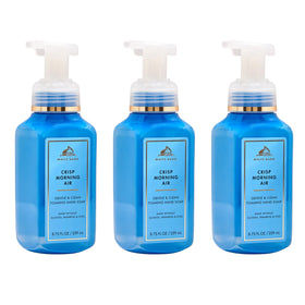 Bath & Body Works Crisp Morning Air Foaming Hand Soap front view