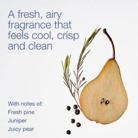 Bath & Body Works Crisp Morning Air Foaming Hand Soap side view