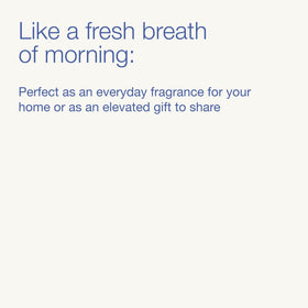 Bath & Body Works Crisp Morning Air Foaming Hand Soap with ingredients