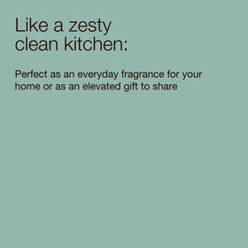 Bath & Body Works Kitchen Lemon Foaming Hand Soap with other Bath & Body Works products