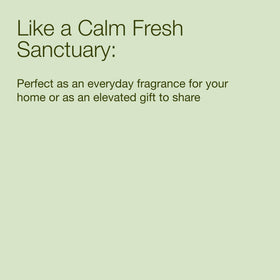 Bath & Body Works White Tea & Sage Foaming Hand Soap lifestyle scene