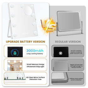Bearolve Vanity Mirror packaging and accessories