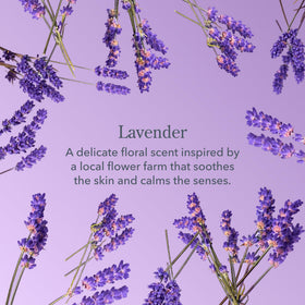 Beekman 1802 Goat Milk Face Wipes Lavender with lavender flowers