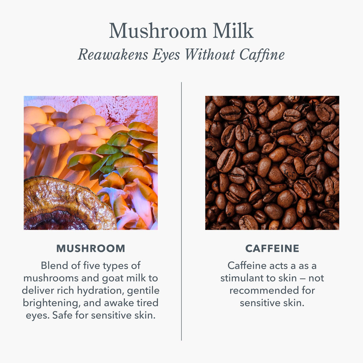 Beekman 1802 Mushroom Goat Milk Eye Cream with natural background