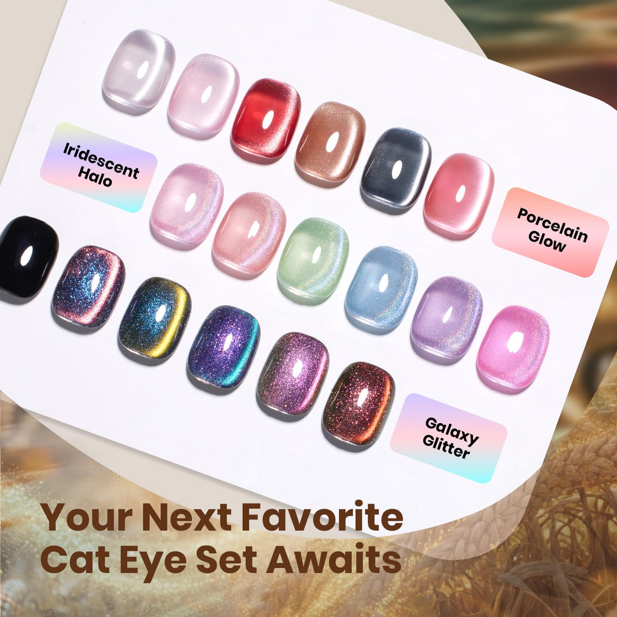 Beetles Cat Eye Gel Nail Polish set packaging