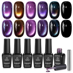 beetles Cat Eye Gel Nail Polish Set with 6 colours front view