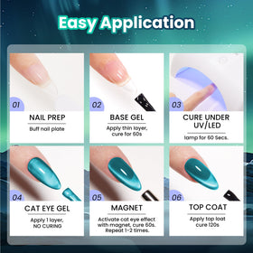 beetles Cat Eye Gel Nail Polish with magnetic tool