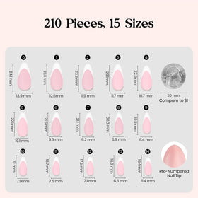 Beetles Press On Nails packaging with 210 pieces displayed