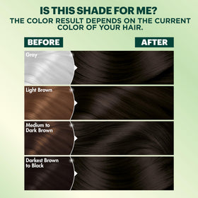 Before and after hair colour results using Garnier Nutrisse