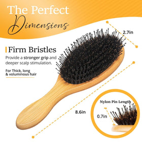 Belula Boar Bristle Hair Brush with natural oils on hair strands