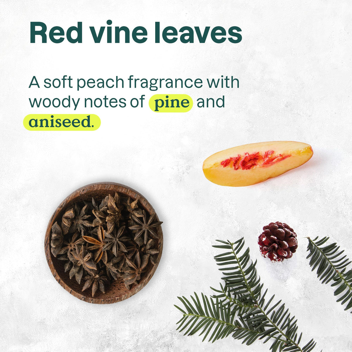 BIO SPECTRA ATTITUDE Body Wash Red Vine Leaves back view