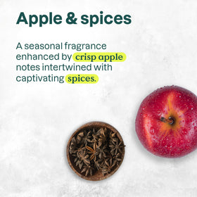 BIO SPECTRA ATTITUDE Liquid Hand Soap Apple & Spices bottle with pump