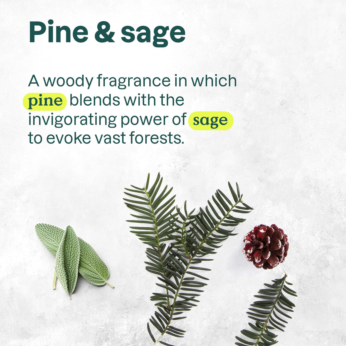 BIO SPECTRA ATTITUDE Liquid Hand Soap Pine & Sage packaging details