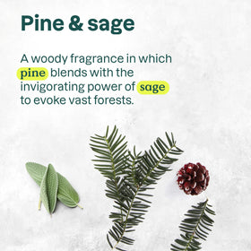 BIO SPECTRA ATTITUDE Liquid Hand Soap Pine & Sage packaging details