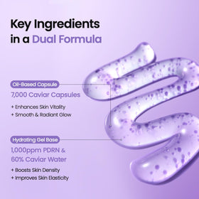 BIODANCE Caviar PDRN Capsule Cream ingredients list
