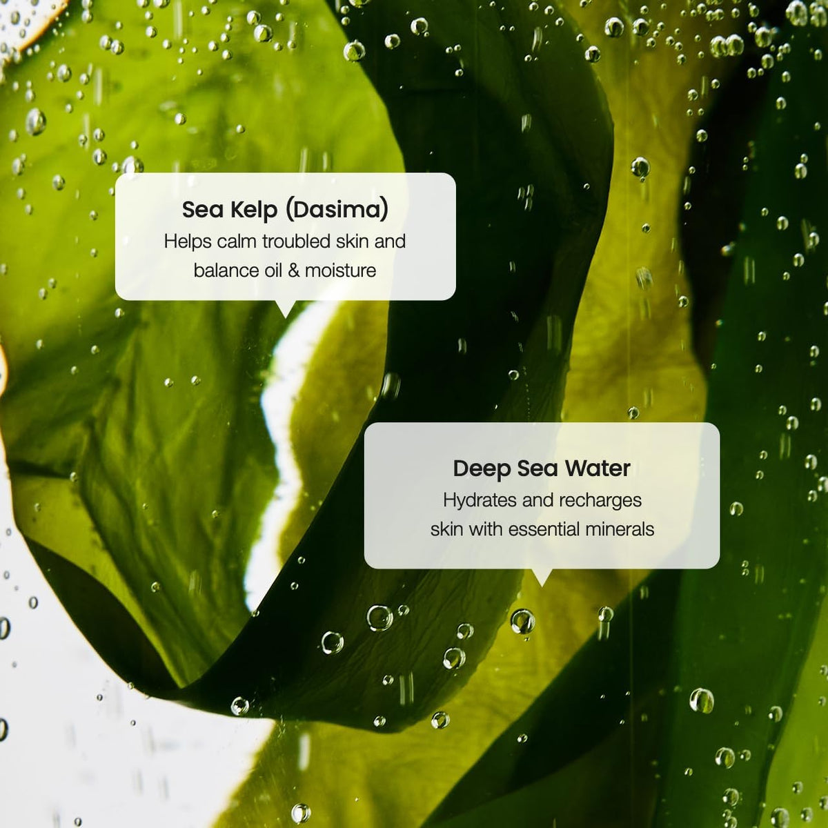 BIODANCE Refreshing Sea Kelp Serum lifestyle scene