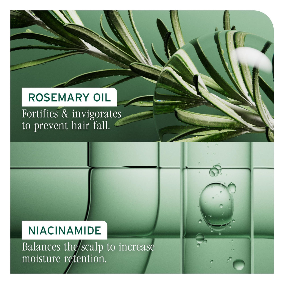Biolage Full Rescue Densifying Leave-In Spray application on hair