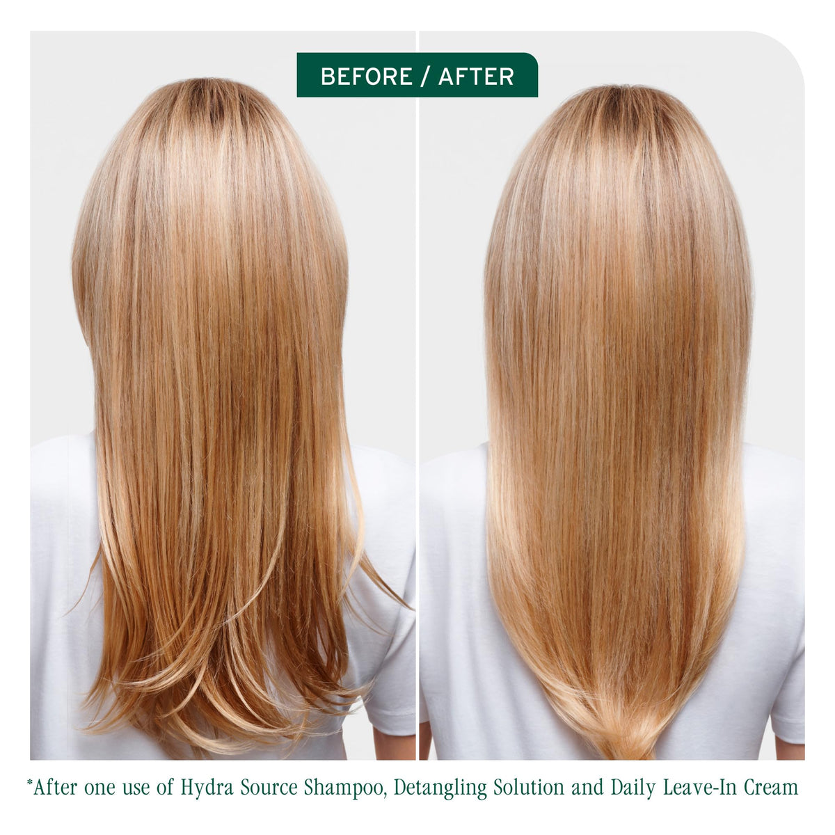 Biolage Hydra Source Detangling Solution bottle side view