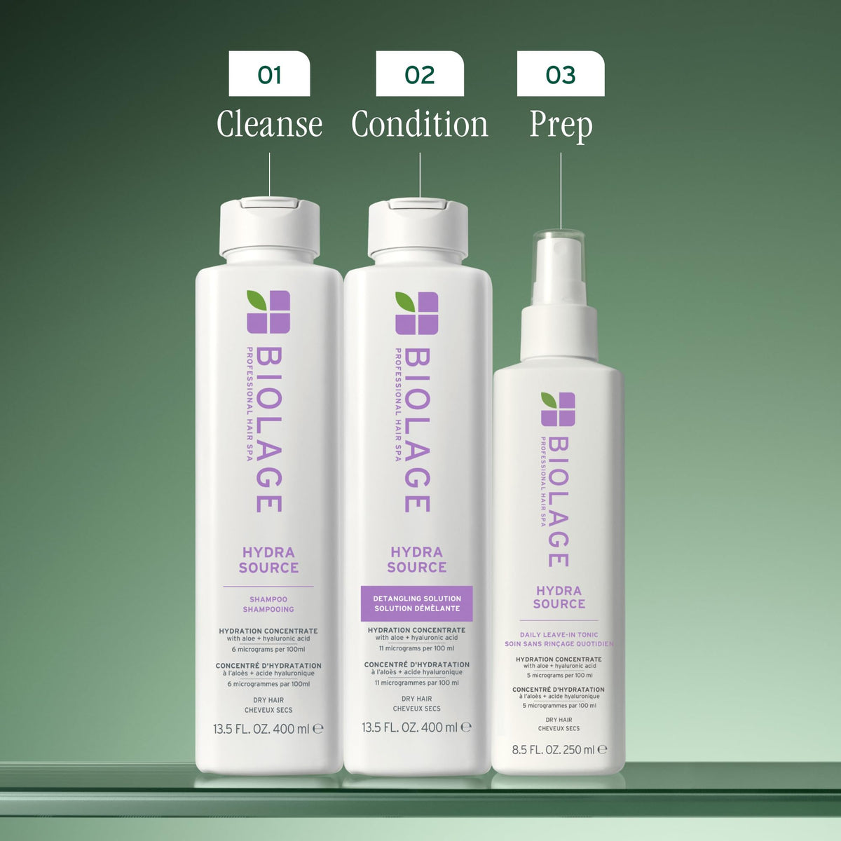 Biolage Hydra Source Detangling Solution with other Hydra Source products