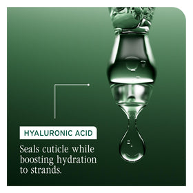 Biolage Hydra Source Shampoo Refill on bathroom shelf