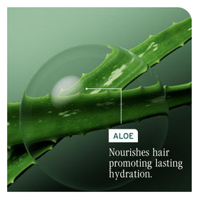Biolage Hydra Source Shampoo Refill with water splash background