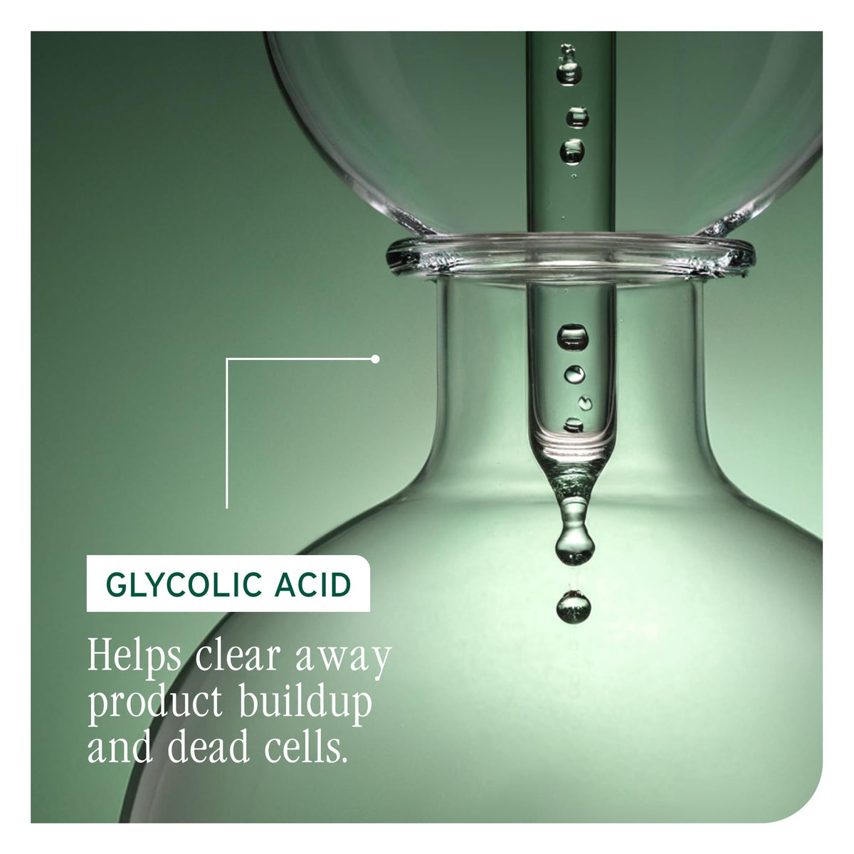 Biolage Scalp Sync Anti-Dandruff Shampoo packaging details