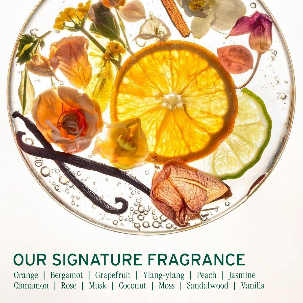 Biolage Scalp Sync Clarifying Shampoo packaging with natural elements