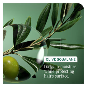 Biolage Strength Recovery Spray in lifestyle setting