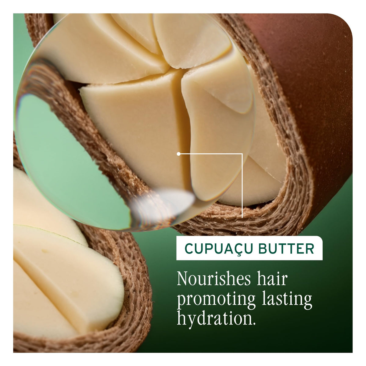 Biolage Ultra Hydra Source Shampoo lathering on hair
