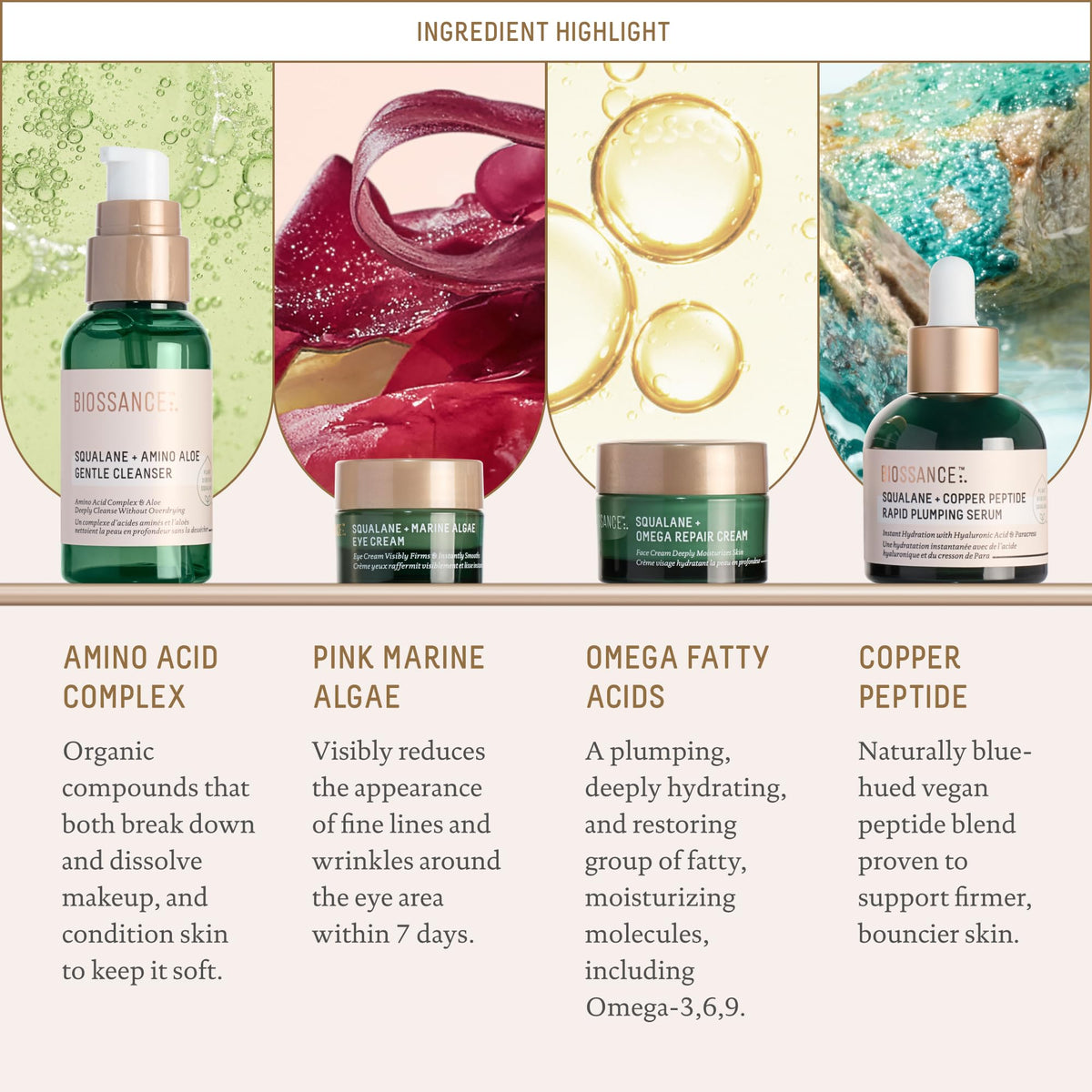 BIOSSANCE moisturiser from the Plump & Hydrate Skincare Set