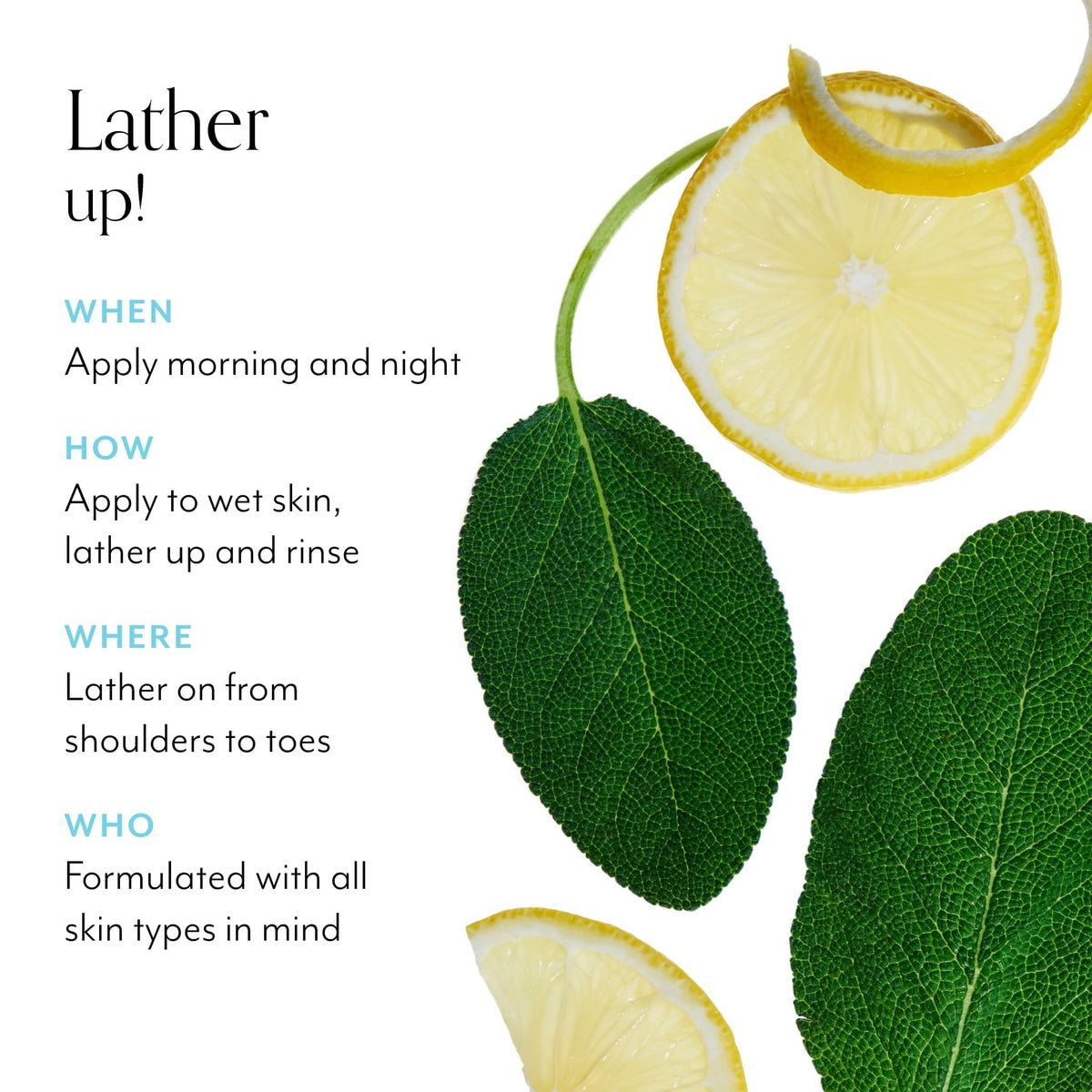 Bliss Soapy Suds Body Wash with aloe leaf juice ingredients