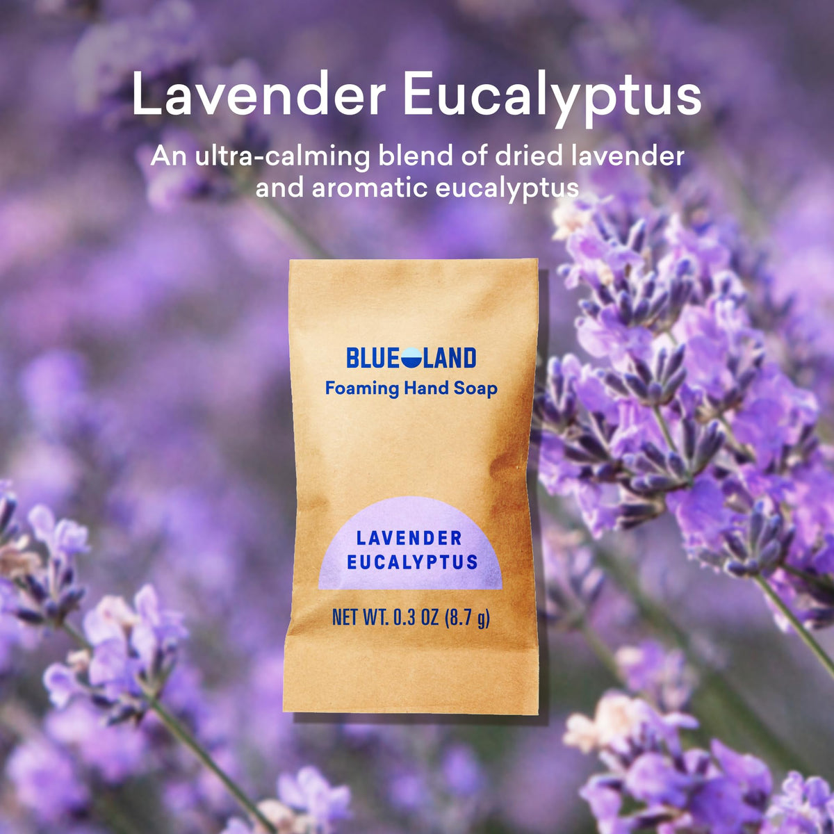 BLUELAND Foaming Hand Soap tablet in reusable glass bottle