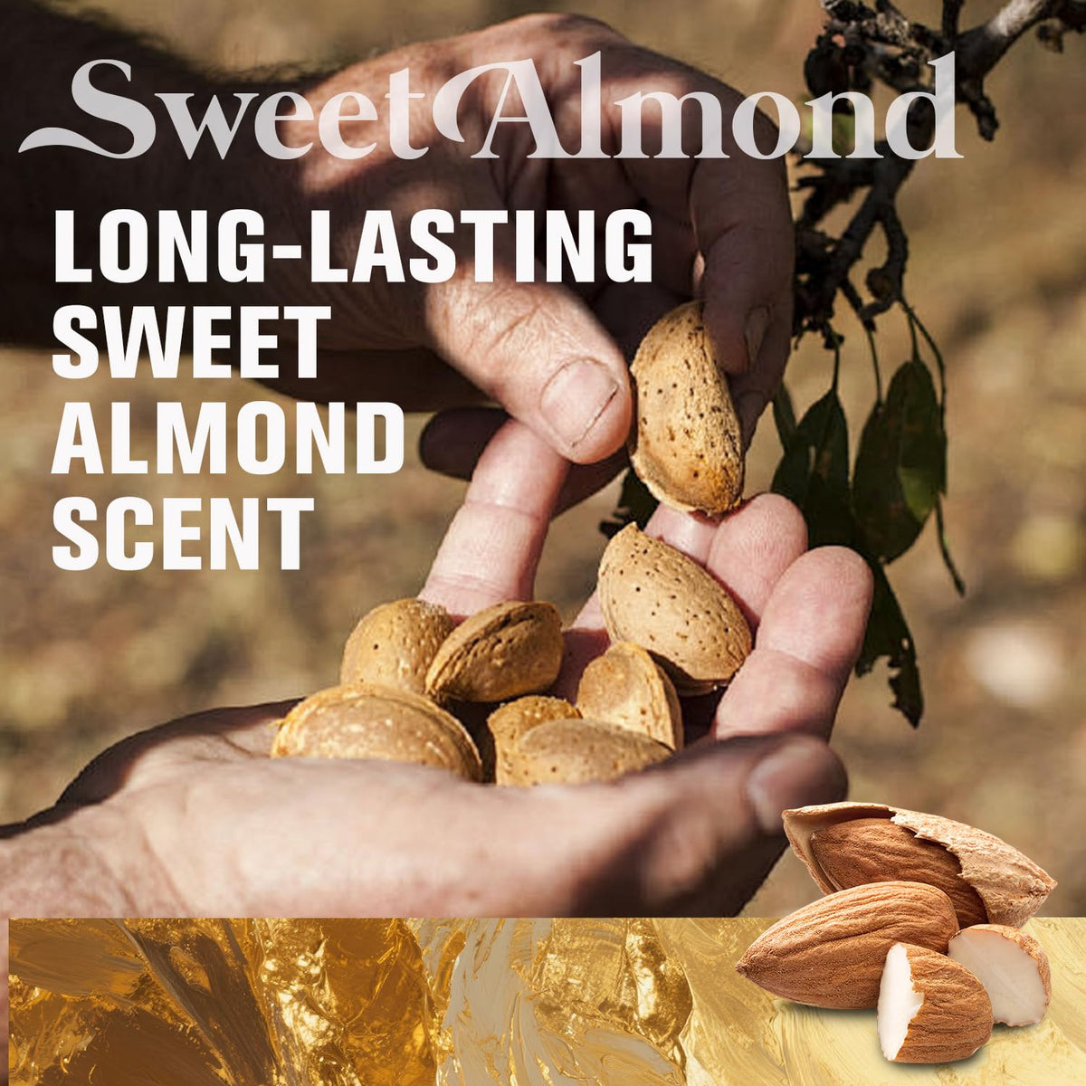 BODY & EARTH # LOVE Almond foot cream tube close-up