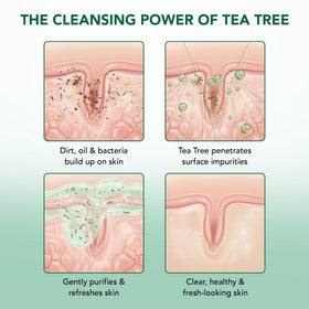 Botanic Hearth Tea Tree Body Wash with lather