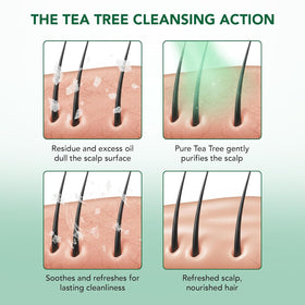 Botanic Hearth Tea Tree Conditioner in use on hair