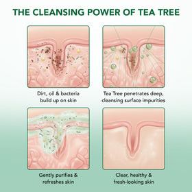 Botanic Hearth Tea Tree Eucalyptus Body Wash packaging
