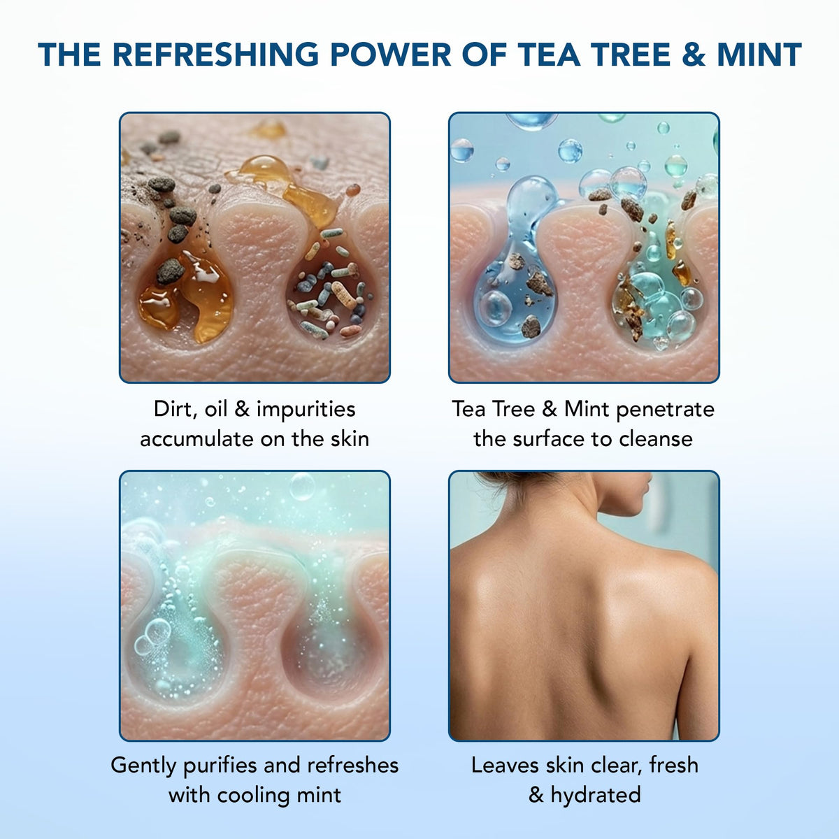 Botanic Hearth Tea Tree & Mint Body Wash 16 fl oz in a bathroom setting