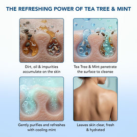 Botanic Hearth Tea Tree & Mint Body Wash 16 fl oz in a bathroom setting