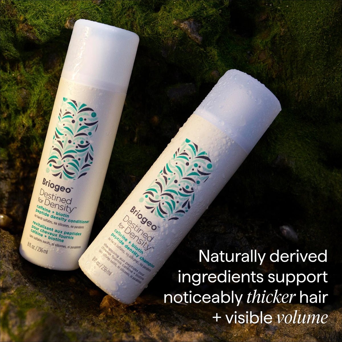 Briogeo Density Shampoo with natural ingredients