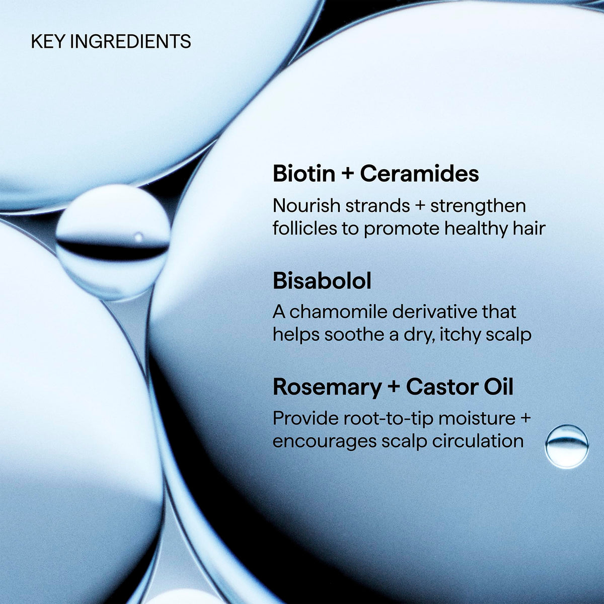 Briogeo Scalp Revival Rosemary Pre-Wash Oil with other hair care products